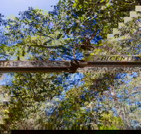Bribie Island Bicentennial Trails - Accommodation Perth