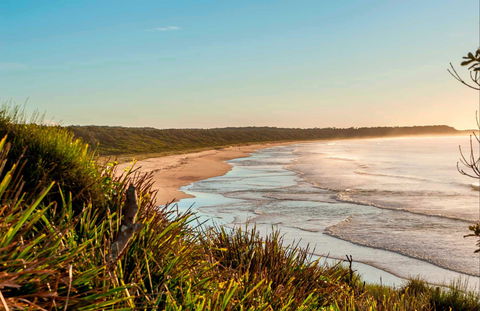 Burrawang Track - Conjola Beach To Buckleys Point - Accommodation Perth 0