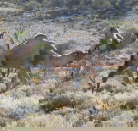 Canning Stock Route - Perth Resorts