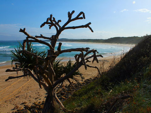 Clay Head - Accommodation Perth 2