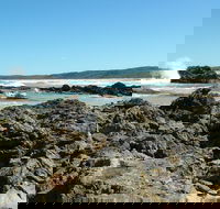 Coastal Walks - Bermagui - Accommodation Perth