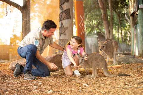 Dreamworld - Accommodation Perth 2