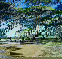 Dumbleyung - Accommodation Perth
