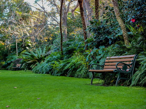EG Waterhouse National Camellia Gardens - Perth Resorts 0