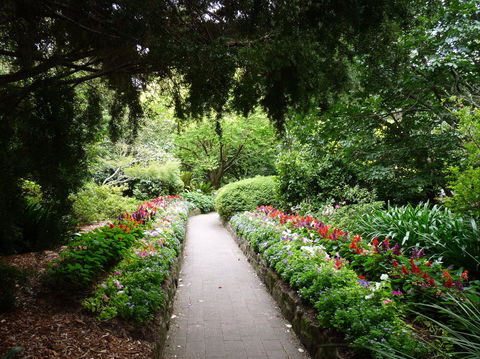 EG Waterhouse National Camellia Gardens - Perth Resorts 1