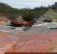 FR Berry Reserve - Accommodation Perth