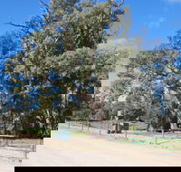 Giant Gum Tree - Accommodation Perth