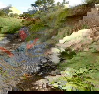 Gold Panning Deep Creek - Accommodation Perth