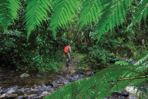 Goldsborough Valley, Wooroonooran National Park - Perth Resorts 0