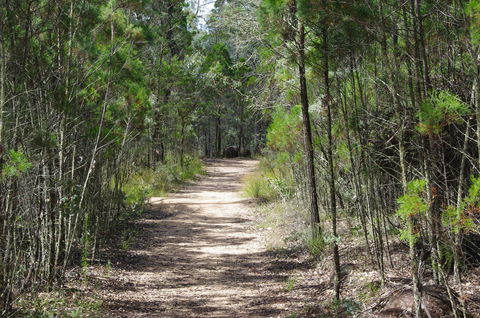 Goonoowigall State Conservation Area - Accommodation Perth 1