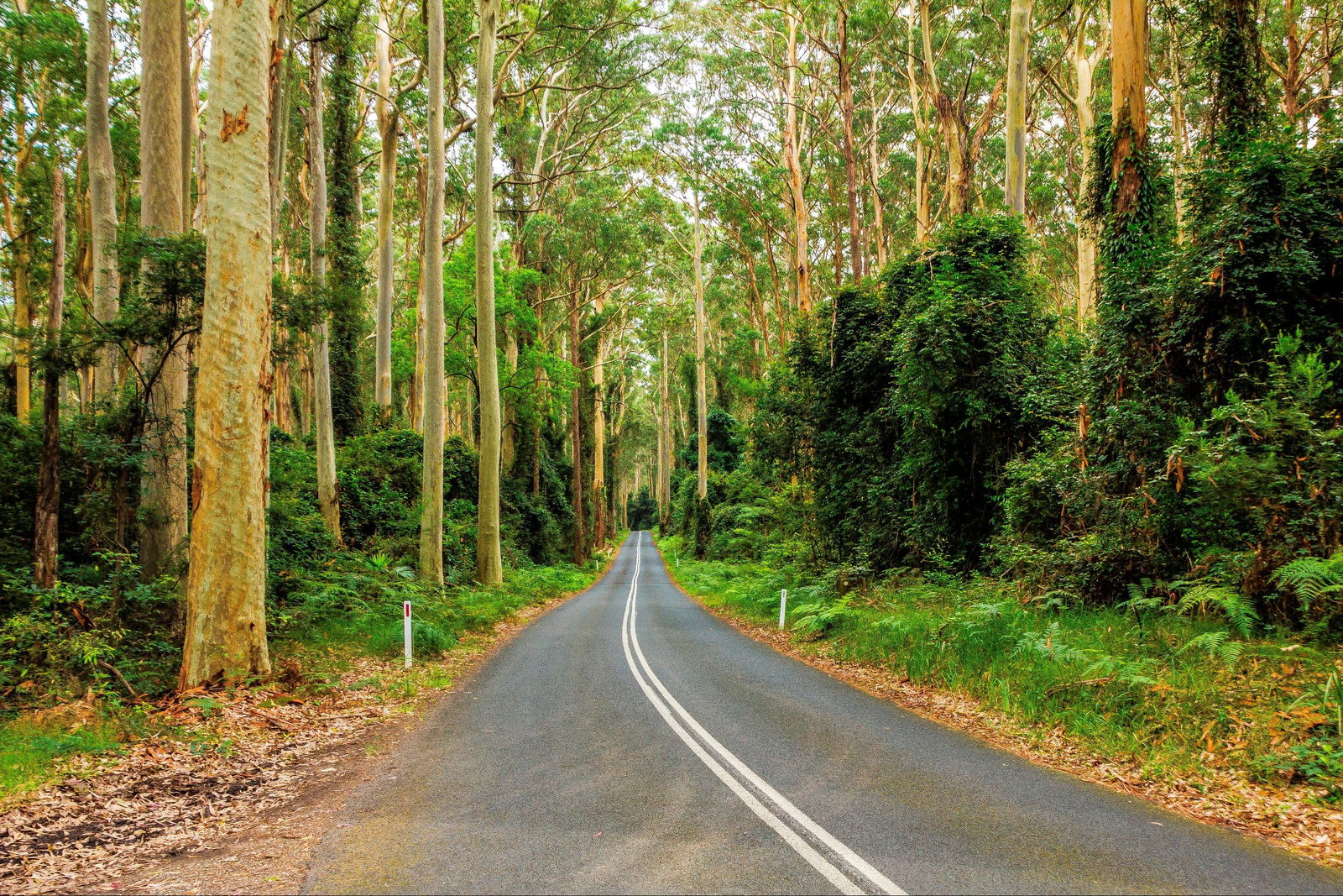Kioloa NSW Accommodation Perth