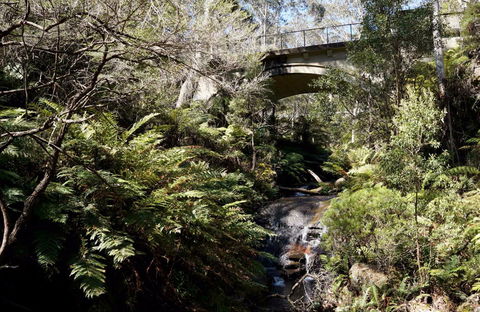 Leura Cascades Picnic Area - Accommodation Perth 1
