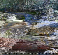 Liffey Falls Reserve - Accommodation Perth