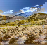 Little Mountain Walking Track - Accommodation Perth