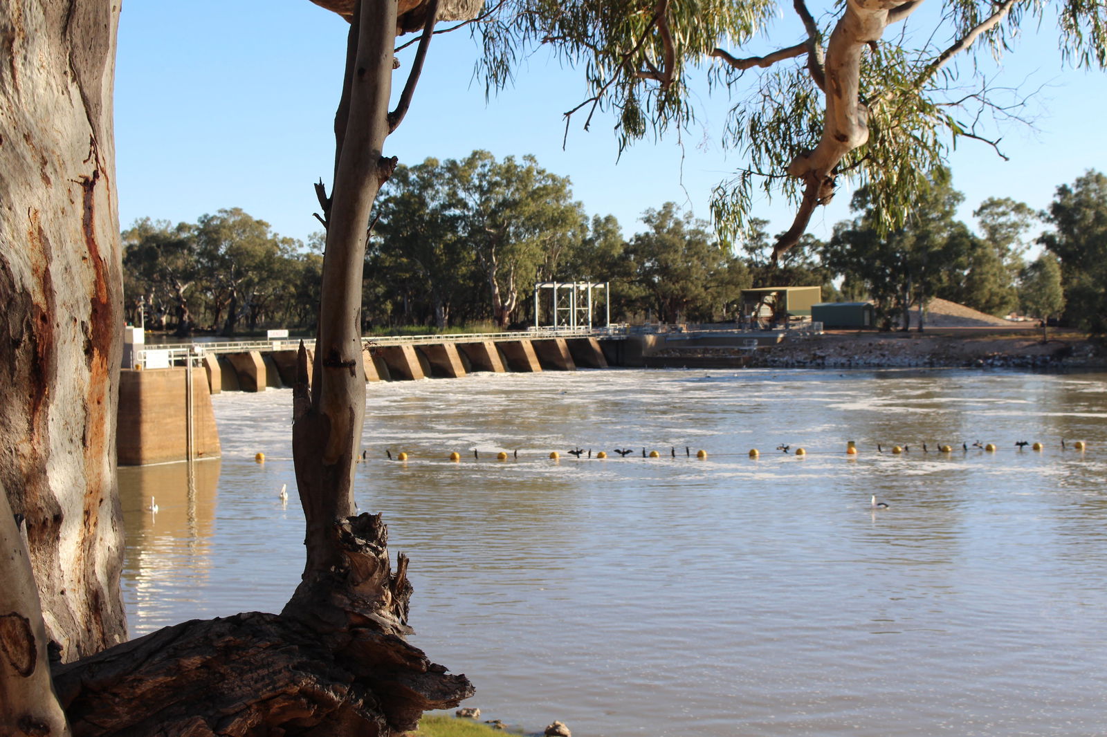 The Riverland And Murraylands SA Accommodation Perth