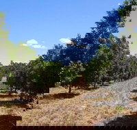 MacNuts WA Shop and Factory - Accommodation Perth