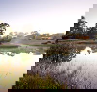 McClelland Sculpture Park  Gallery - Accommodation Perth