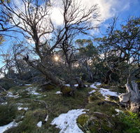 Mount Torbreck Summit Walk - Accommodation Perth