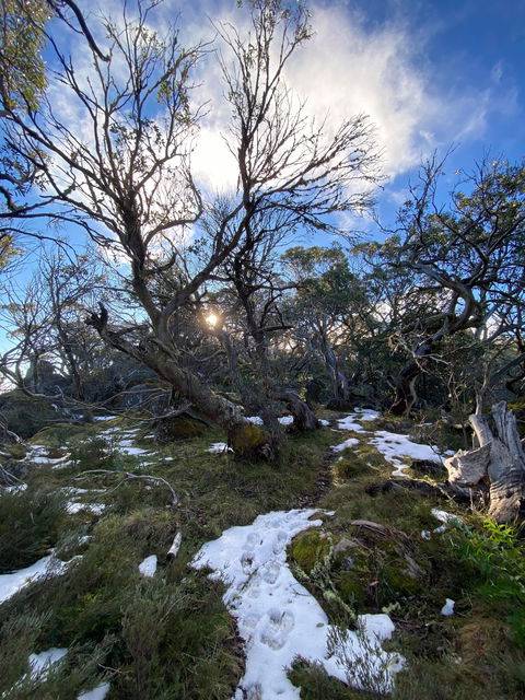 Mount Torbreck Summit Walk - Accommodation Perth 0