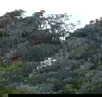 Mount Yarrowyck Nature Reserve - Accommodation Perth