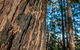 Muirs Lookout - thumb 0