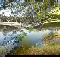 Murray Valley National Park - Accommodation Perth