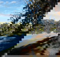 Murray River National Park - Katarapko - Accommodation Perth