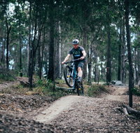 Nerang Mountain Bike Trails - Accommodation Perth