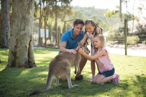 Paradise Country - Perth Resorts 2