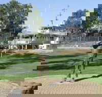 Possum Statue - Accommodation Perth
