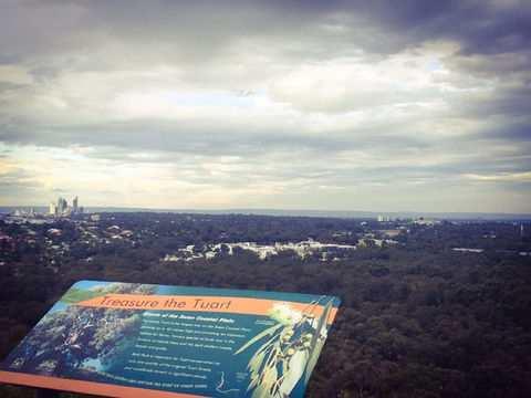 Reabold Hill Summit Boardwalk, Bold Park - Accommodation Perth 0
