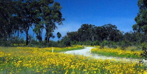 Shearer's Way - Accommodation Perth 0