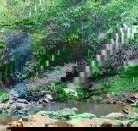 Tamborine National Park - Accommodation Perth