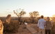 The Living Desert And Sculptures - thumb 1