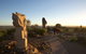 The Living Desert And Sculptures - thumb 2