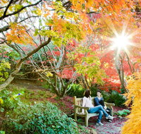 The Blue Mountains Botanic Garden Mount Tomah - Accommodation Perth