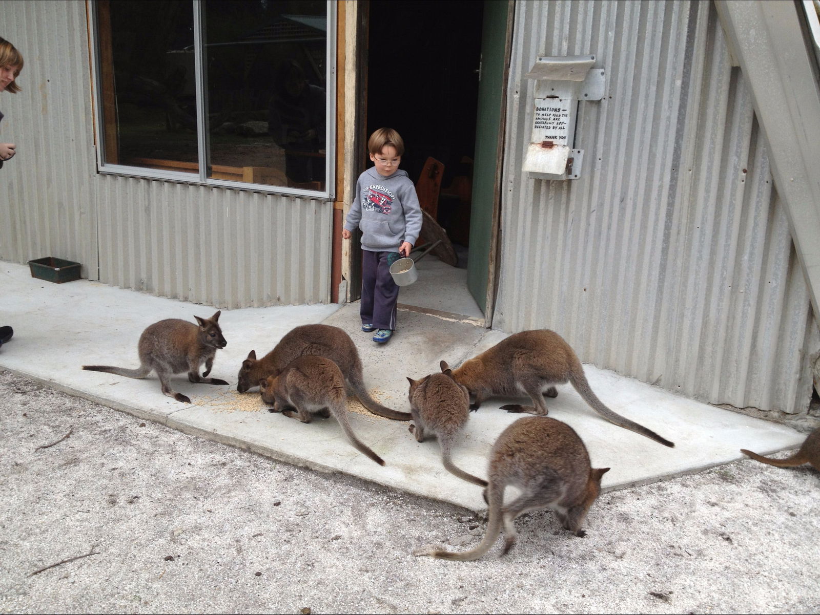 Bass Strait Islands TAS Accommodation Perth