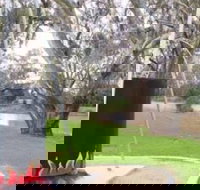 Trangie Big Billy - Accommodation Perth