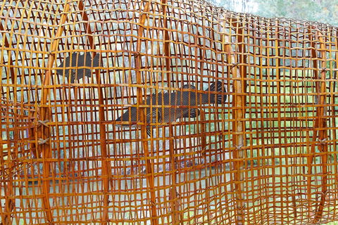 Wagirra Trail And Yindyamarra Sculpture Walk - Perth Resorts 2