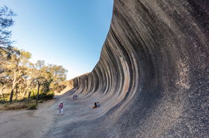 Wave Rock Wildflower Trail