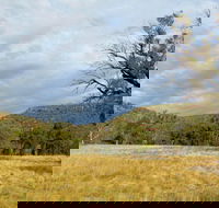 Weddin Mountains National Park - Accommodation Perth