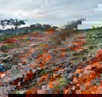 Western Ridge Walk - Accommodation Perth