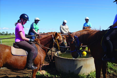 Western Plains Riding Centre - Open - Accommodation Perth 0