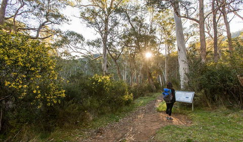 Yarrangobilly Caves – River Walk - Accommodation Perth 0