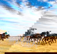 7 Day Outback Giants - Accommodation Perth