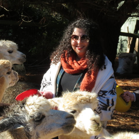 Alpaca Farm Experience At Crookwell - Perth Resorts 1