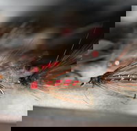 Australian Fly Fishing Museum - Accommodation Perth