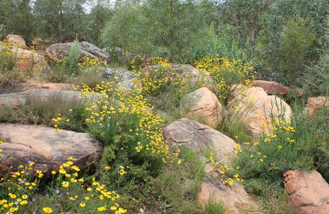 Ben Hall's Cave Walking Track - Accommodation Perth 0