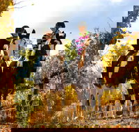 Billabong Ranch Adventure Park - Accommodation Perth