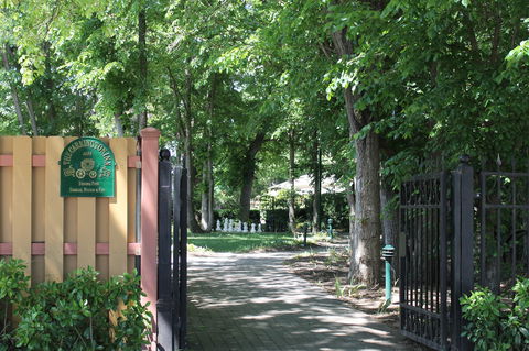 Bungendore Heritage Walk - Accommodation Perth 0